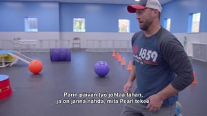 Eläinvelho: lemmikit jaloilleen - Uusi elämä New Yorkissa