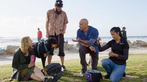 Katujen eläinlääkäri (7) - 112