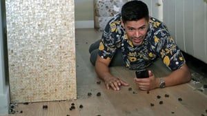 Magnum (12) - Murder Is Never Quiet