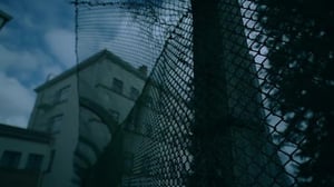 Suomen tulli rikosten jäljillä (7) - Huumeiden ja alkoholin etämyyntiä