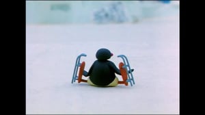 Pingu (S) - Pingu (S)