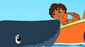 Go, Diego, Go! (S) - Diego Saves Baby Humpback Whale
