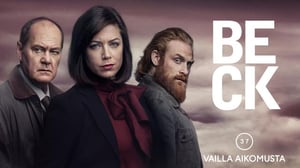 Beck: Vailla aikomusta (12) - Beck 37: Utan uppsåt