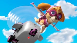 PAW Patrol (S) - Katie ja kisut luolan vankina; Humdinger helikopterissa
