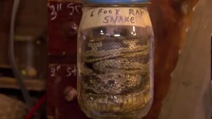 Amerikan kovimmat keräilijät - Erämaan aarteet