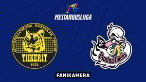 Tiikerit - Ducks, Fanikamera - Tiikerit - Ducks, Fanikamera 2.1.