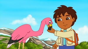 Go, Diego, Go! (S) - A New Flamingo Mami