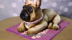 Extreme Cake Makers - Nyrkistä suuhun