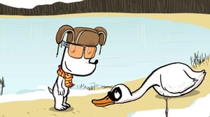 JIPPE-KOIRA (Paramount+) - Jippe auttaa väsynyttä joutsenta