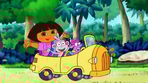 Seikkailija Dora (S) - Go, Tico