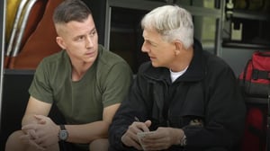 Navy NCIS: Naval Criminal Investigative Service (12) - Lost in Translation