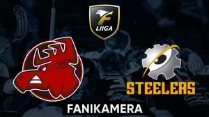 Happee - Steelers, miehet Fanikamera - Happee - Steelers, miehet Fanikamera 20.11