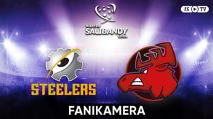 Steelers - Happee, Fanikamera - Steelers - Happee, Fanikamera 14.1.