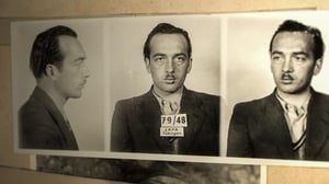 Rikollisuus sodanjälkeisessä Saksassa (16) - Länsi