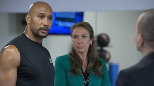 Law & Order: Special Victims Unit (12) - American Disgrace