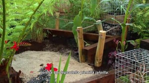 Puutarhan pelastajat - Viidakkotunnelma