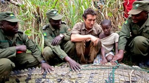 Isoimmat & pahimmat (7) - Puuleijonat