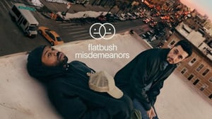 Flatbush Misdemeanors (Paramount+) (12) - the chicken or the egg