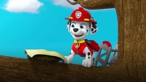 Ryhmä Hau (S) - Koulubussin korvaaja; Varastetut linnut