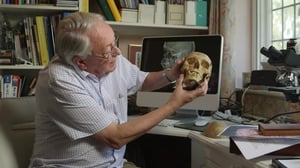 Keskiaikaiset murhamysteerit (16) - Juan Borgia: Dynastian loppu