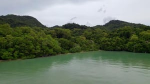 Selviytyjät Suomi - Luksusyön juonet