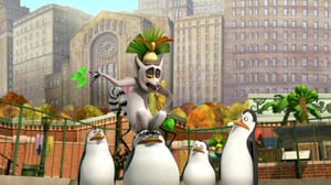 Madagascarin pingviinit (7) - Operaatio: Tyttöys; Ajettu hulluksi