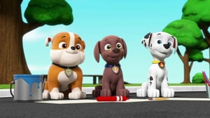 PAW Patrol (S) - Kaikki tassut apuun