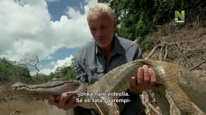 Jokihirviöt (7) - Viidakon tuhoaja