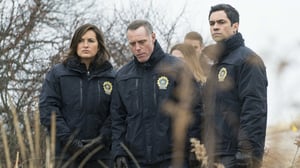 Law & Order: Special Victims Unit (12) - Granting Immunity
