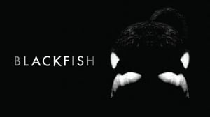 Blackfish (12) - Blackfish