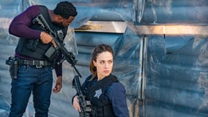 Chicago P.D. (16) - Ilmiantaja