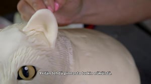 Huikeat kakkutaiturit - Irvikissa ja valtava muna