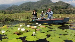 Nigel Marven: Villi Keski-Amerikka (7) - Villi Honduras