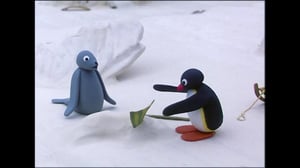 Pingu (S) - Pingu (S)