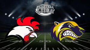 Roosters - Wolverines - Roosters - Wolverines 17.6.