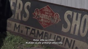 Amerikan kovimmat keräilijät - Mikey tykkää