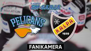 Pelicans - KalPa, Fanikamera - Pelicans - KalPa, Fanikamera 12.1.