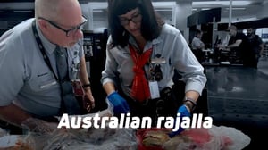 Australian rajalla - Hopean hohdetta