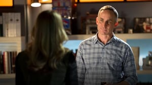 CSI: Crime Scene Investigation (12) - The Lost Reindeer