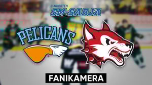 Pelicans - Jokipojat, Fanikamera - Pelicans - Jokipojat, Fanikamera 12.1.