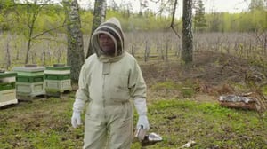 Tankkaustarinat - Rekkoja ja mehiläisiä