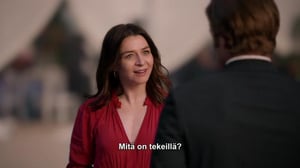 Greyn anatomia (12) - Sielunkumppaneita