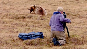 Kasvokkain karhujen kanssa (7)