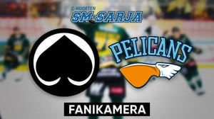 Ässät - Pelicans, Fanikamera - Ässät - Pelicans, Fanikamera 19.1.