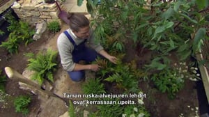 Puutarhan pelastajat - Yorkshiresta Japaniin