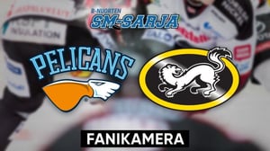 Pelicans - Kärpät, Fanikamera - Pelicans - Kärpät, Fanikamera 25.1.
