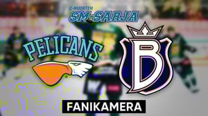 Pelicans - Blus Ak, Fanikamera - Pelicans - Blues Ak, Fanikamera 30.1.