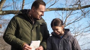 FBI: Most Wanted (12) - Silkkiperhonen