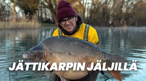 Jättikarpin jäljillä
