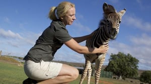 Kesytön Shamwari (7) - 109